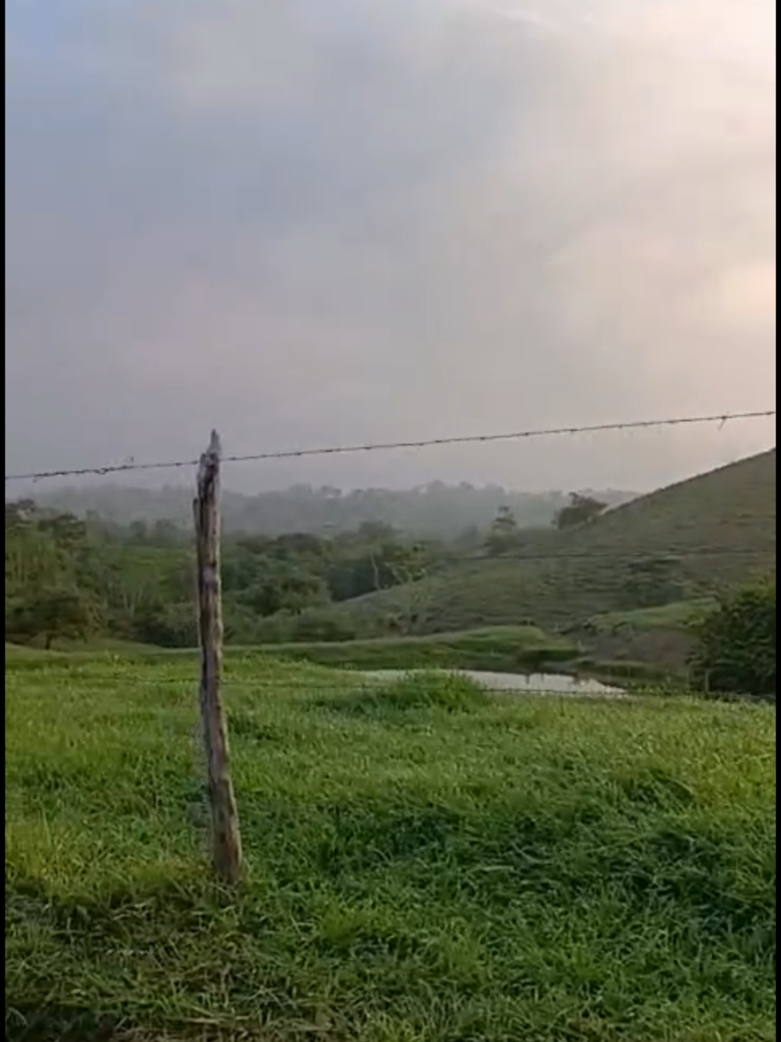 @Sanmiguelera
