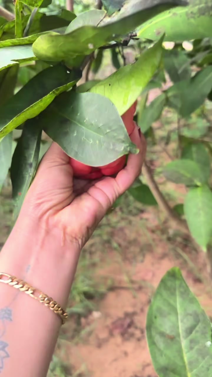 @මල්කි බබා ( parindi) 😘❤️