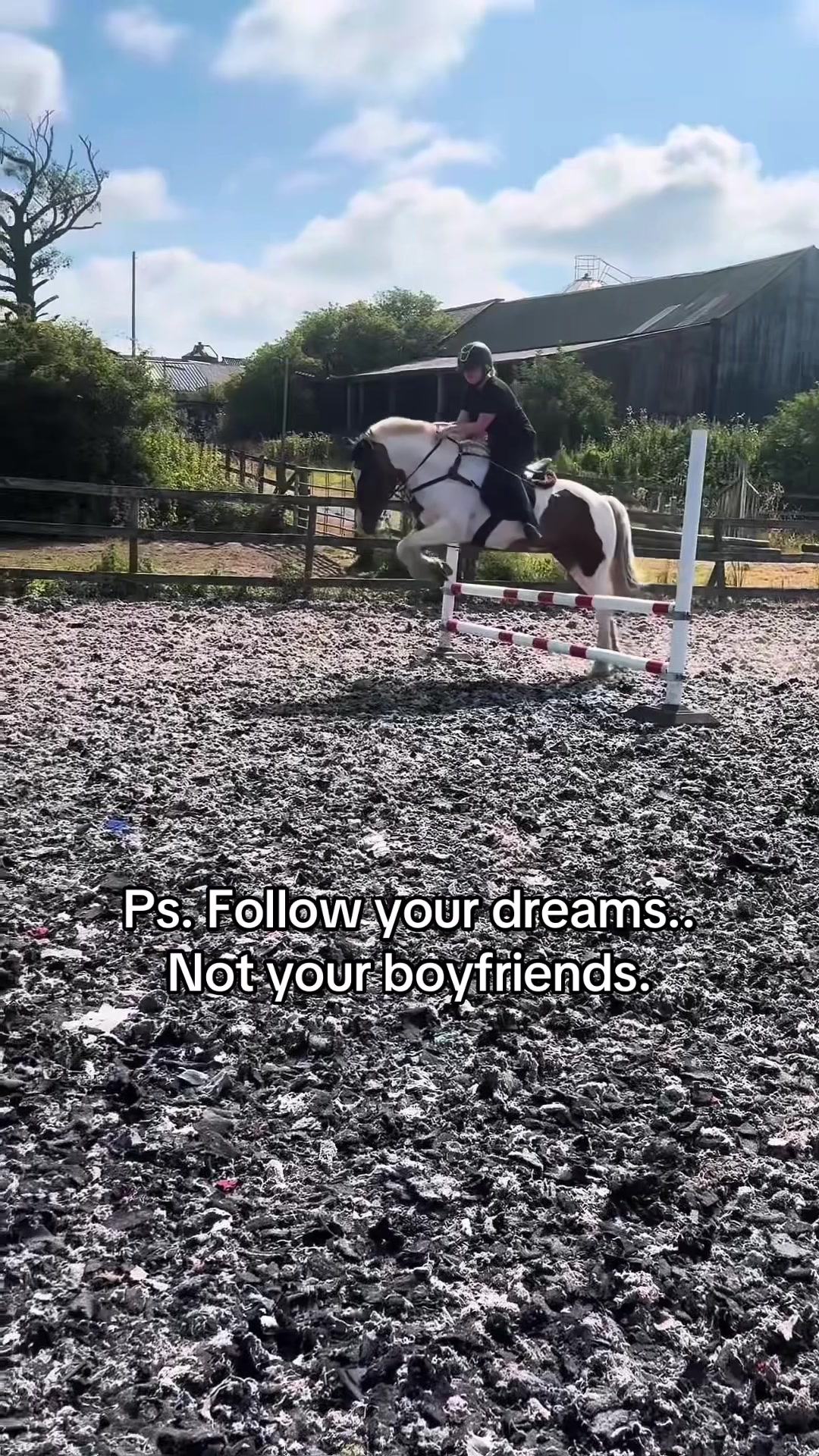 @Lilywiththecobs🐴
