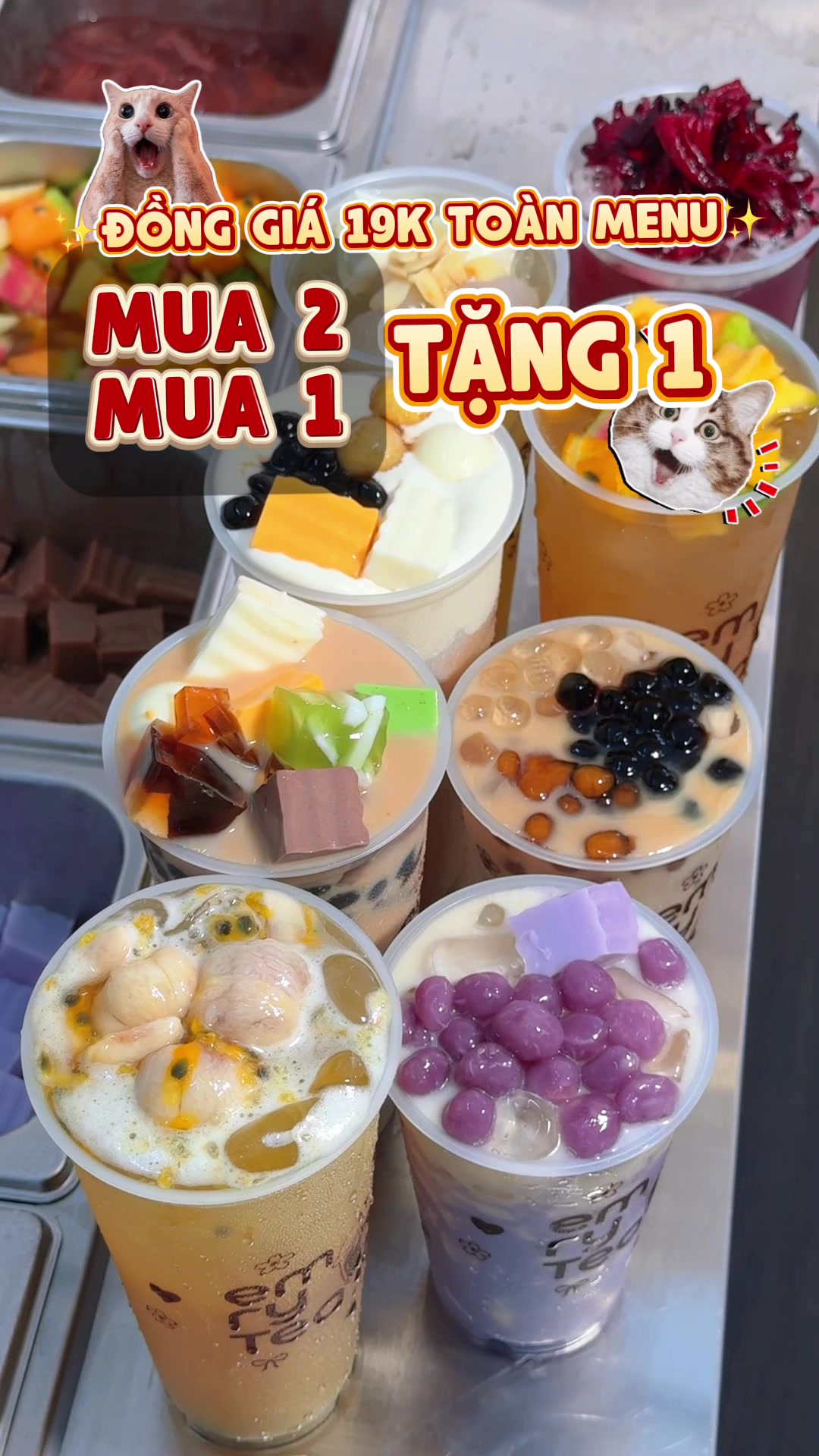 @ViVu cùng Nam