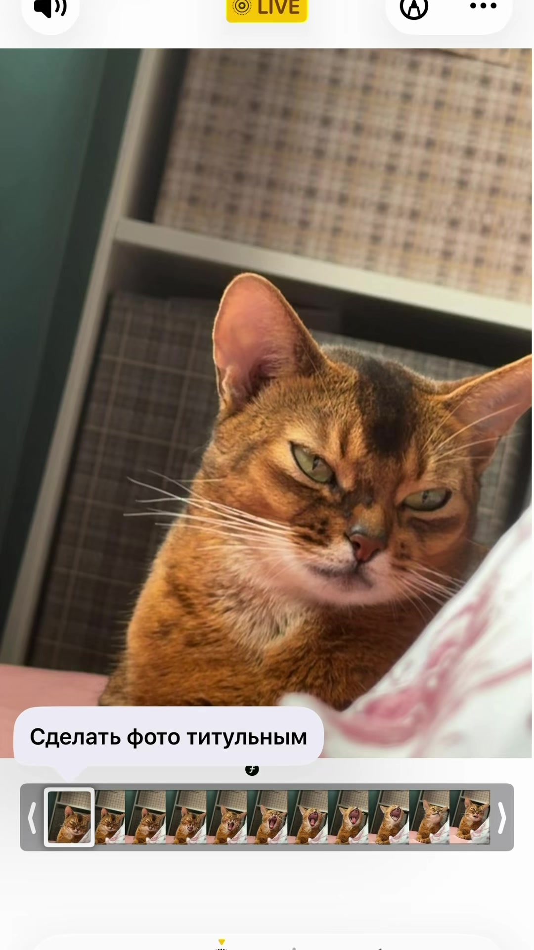@тётя лиза(!)