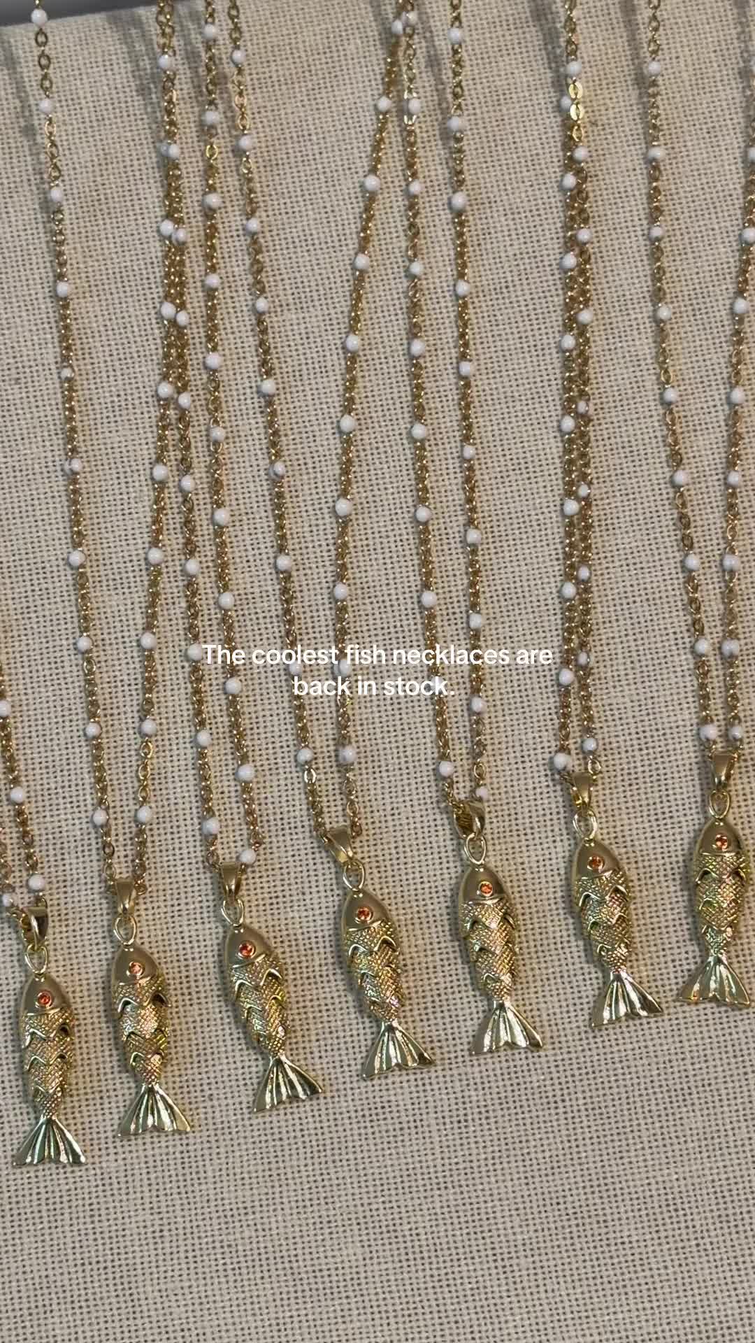 @ShukStack