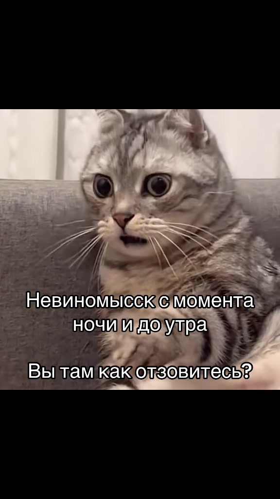 @Я твоя навеки🫂❤️