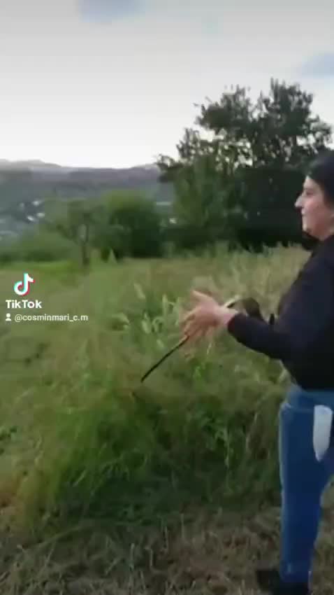 @Maria Cosmin