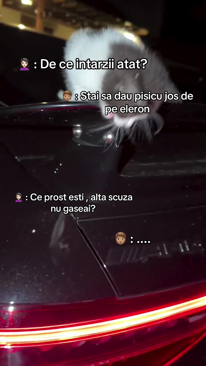 @Theodor Andrei