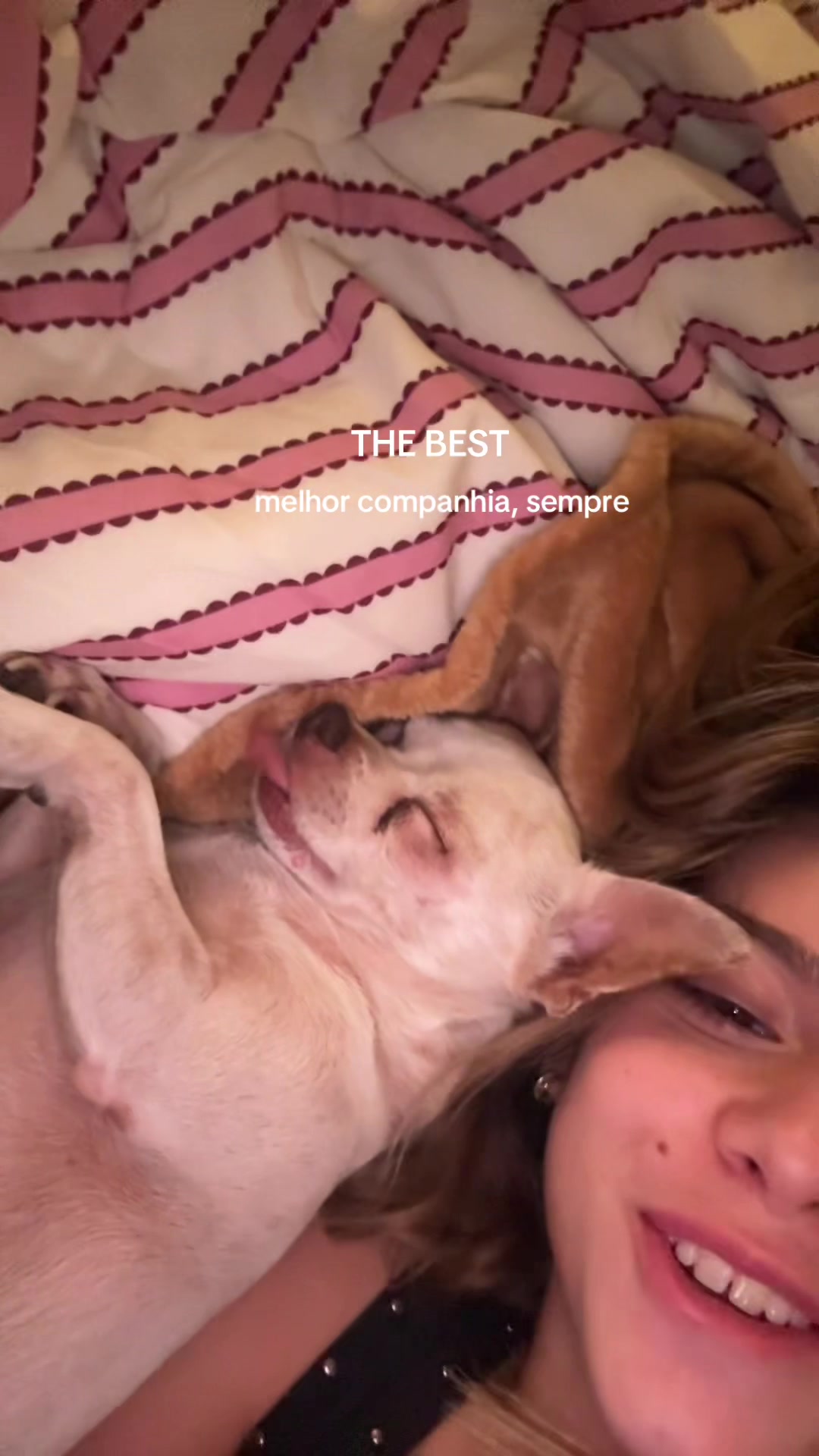 @Yara