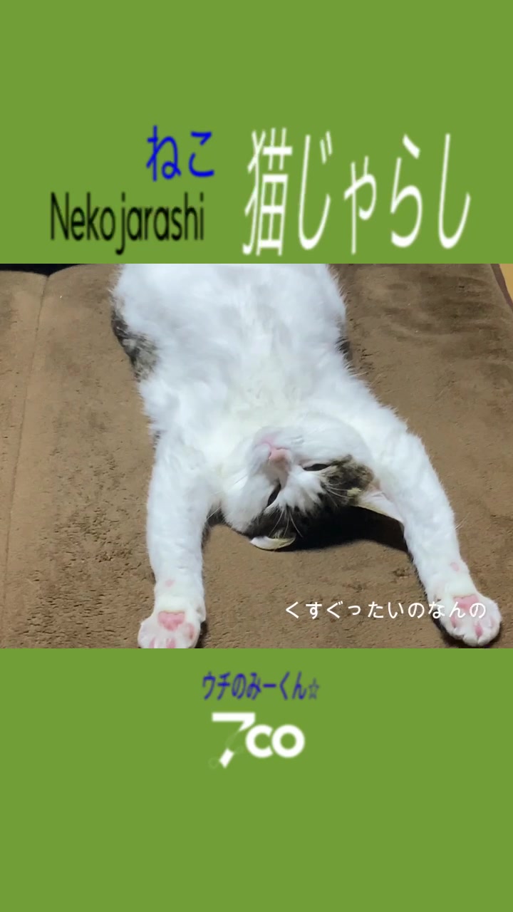 @7co