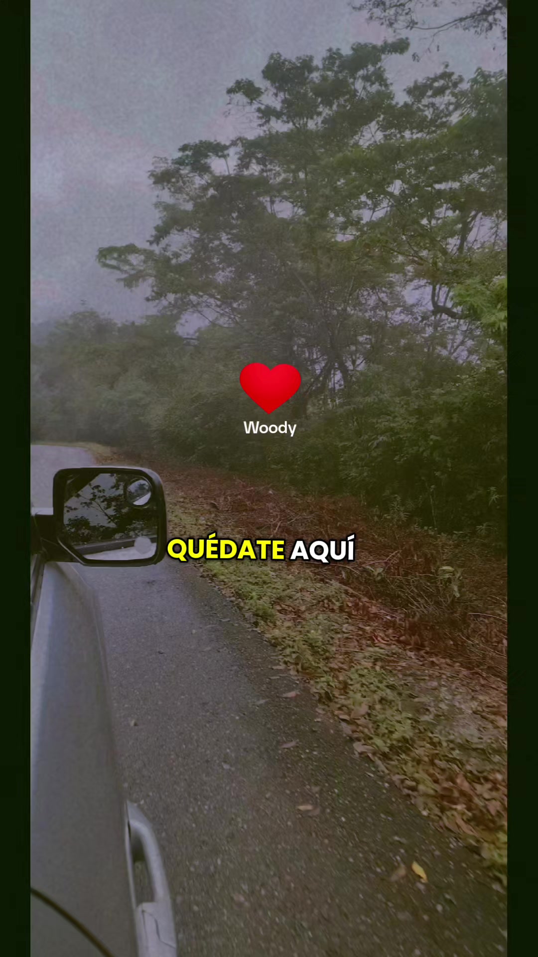 @Zoe Ferreira❤️🥰