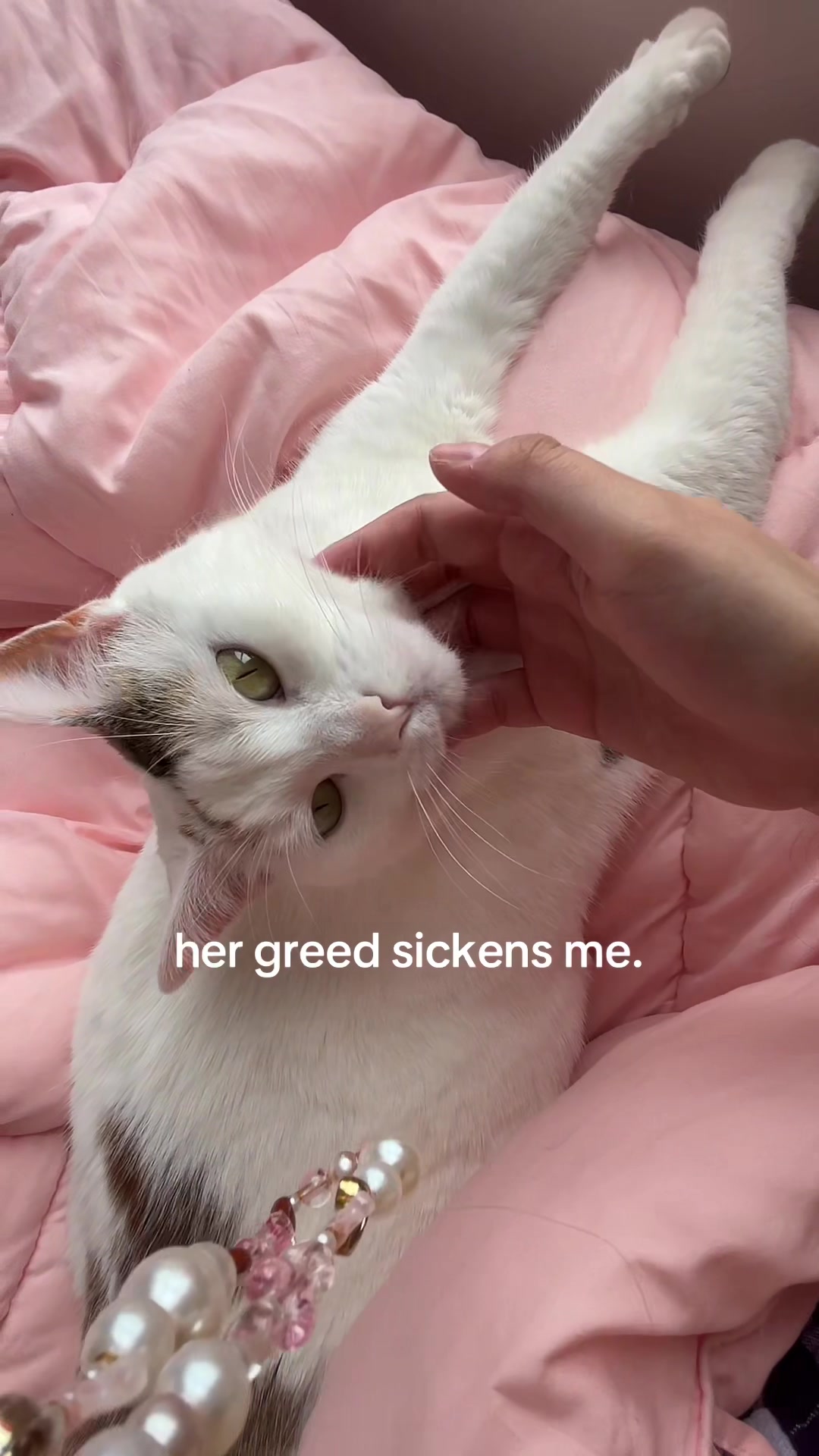 @makaila 🐈&zwj;⬛