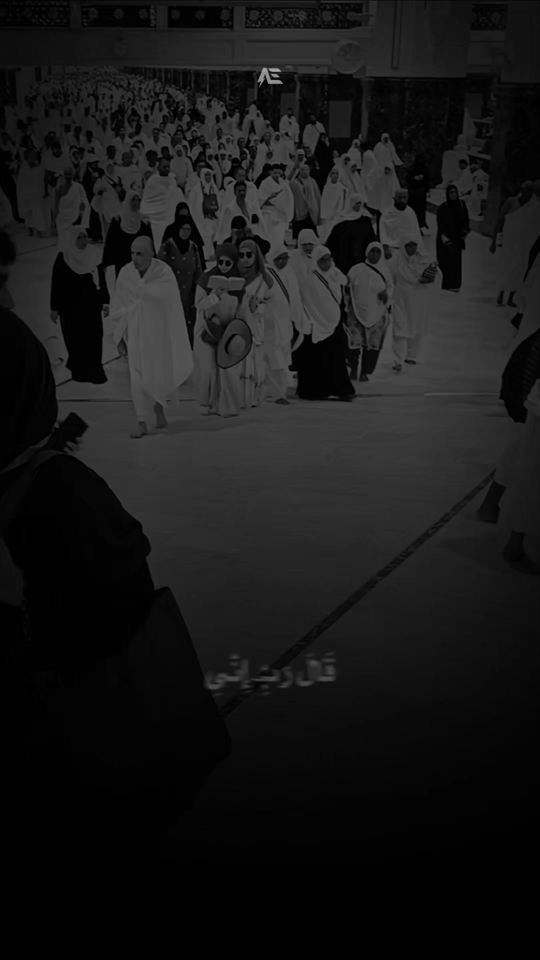 @ايمى الناجى