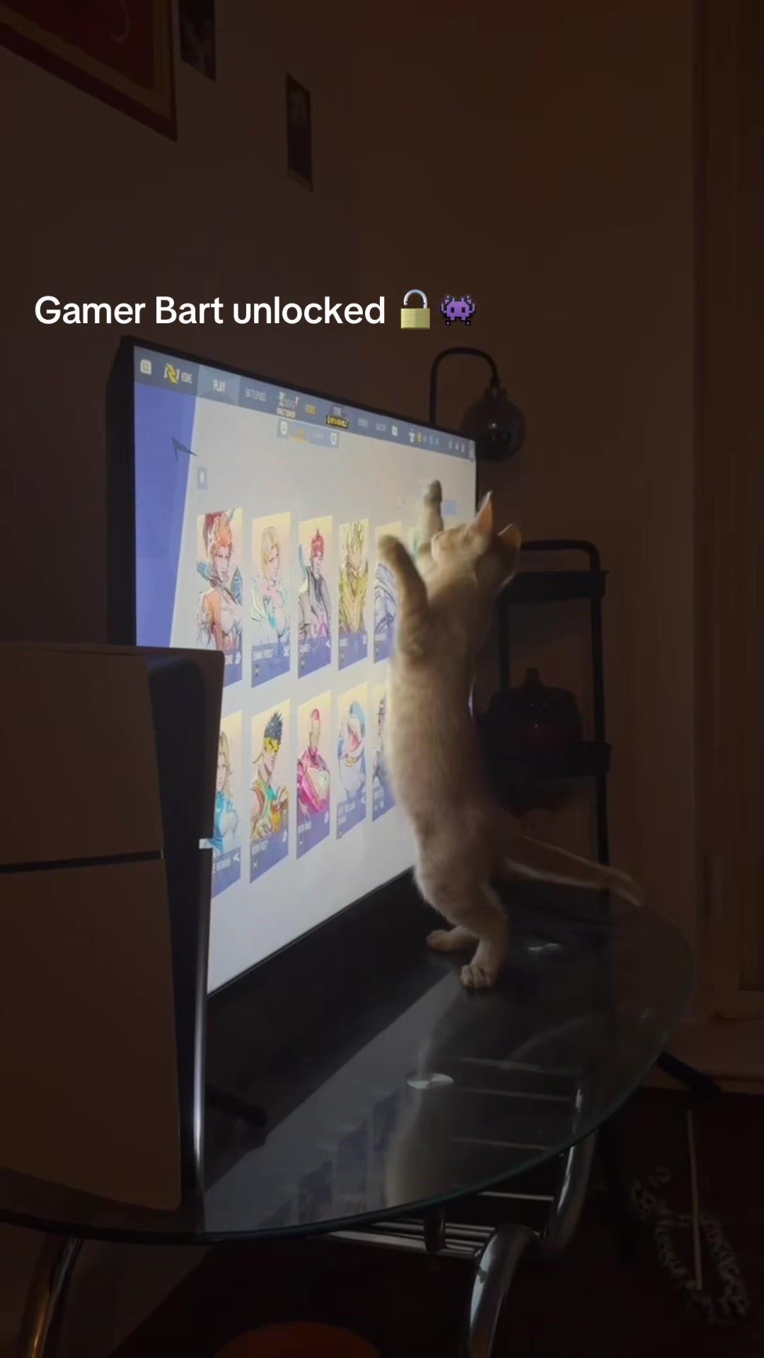 @Bart&Via🌀☯️☄️⚡️🍀🌬️🧿✨☮️🪬🐈