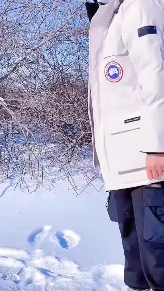 @Lopsi21