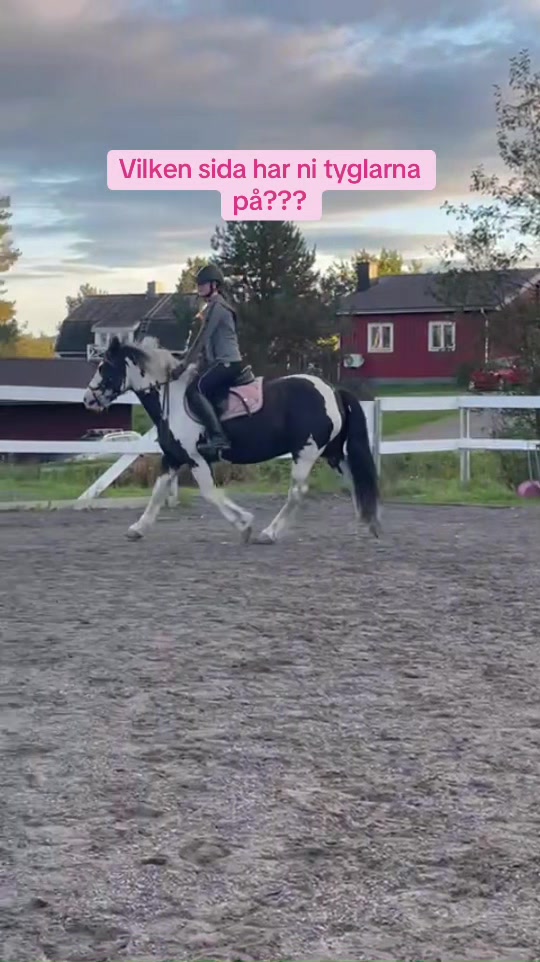 @kerstin🐴