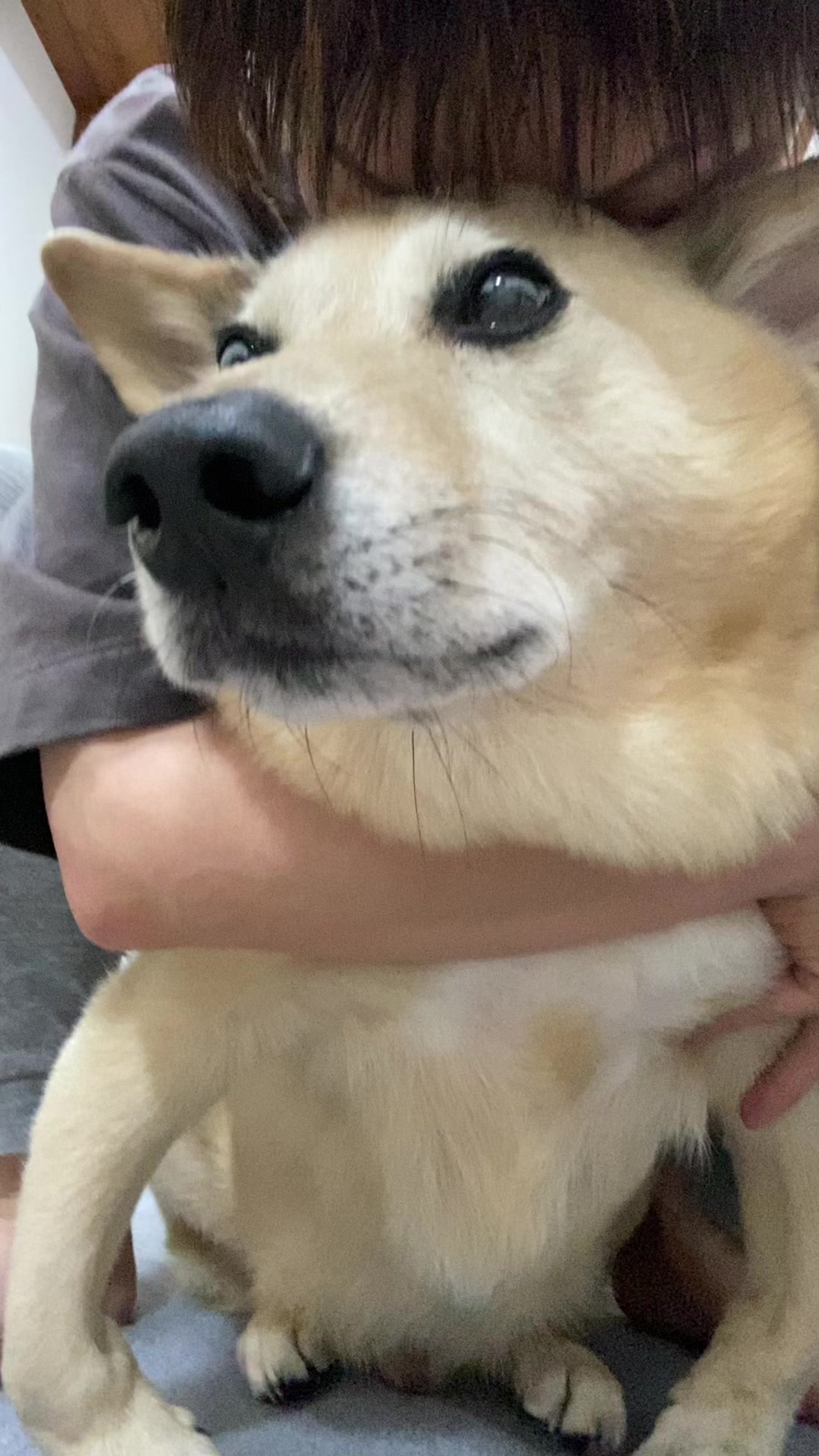@てる