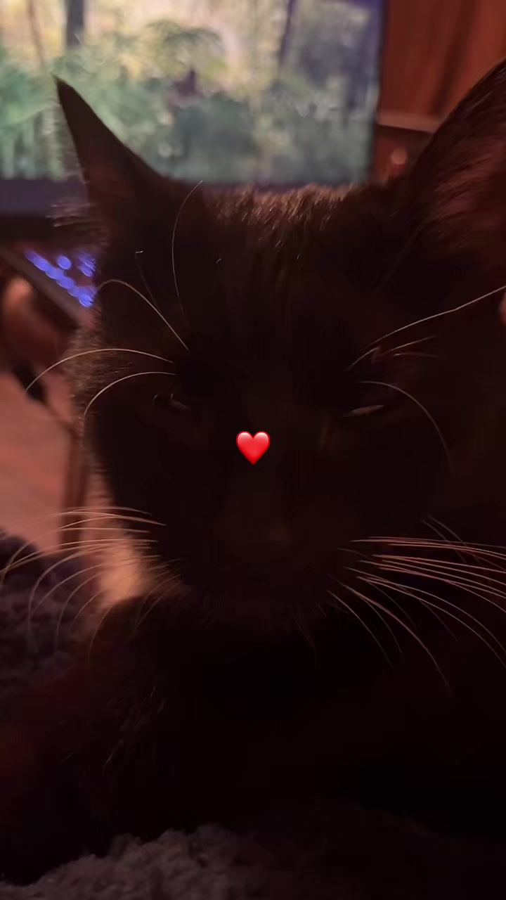@✨💋Гелечка💋✨