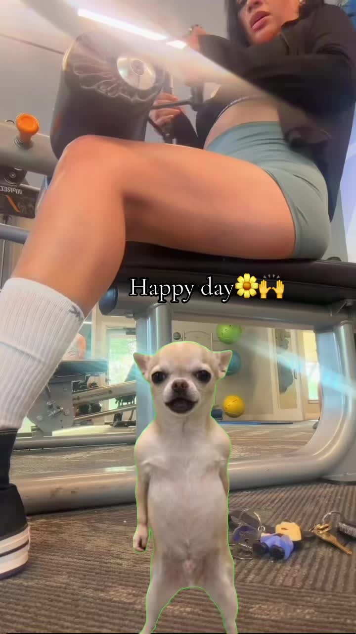 @ANNITA💙🪽