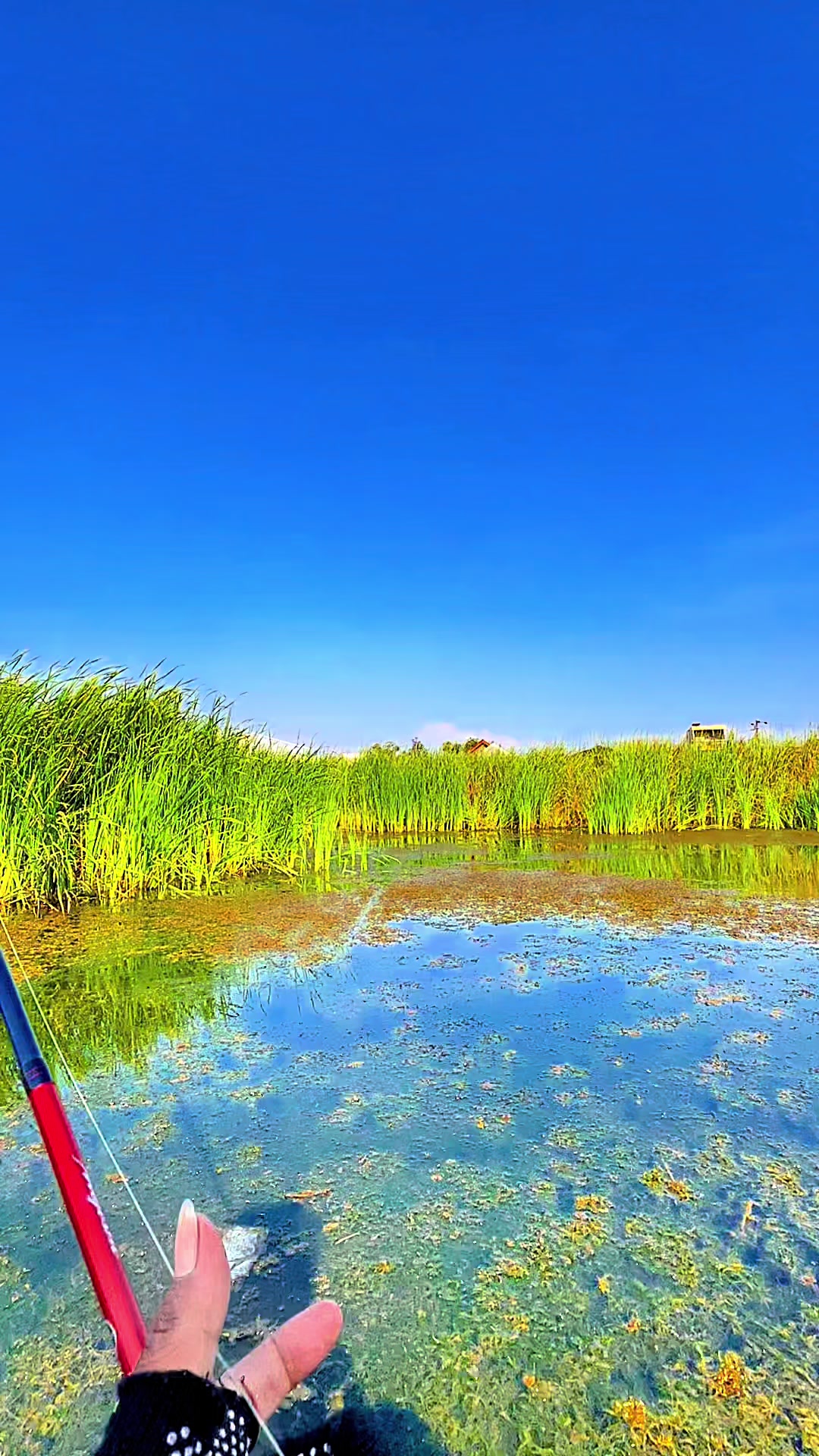 @MAFIA FISHING