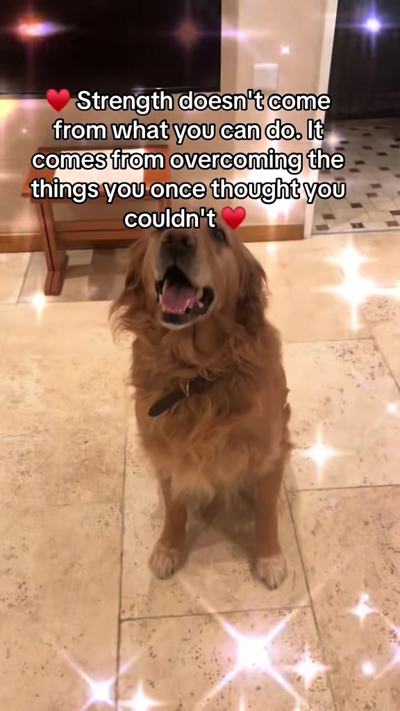 @Happy buddy