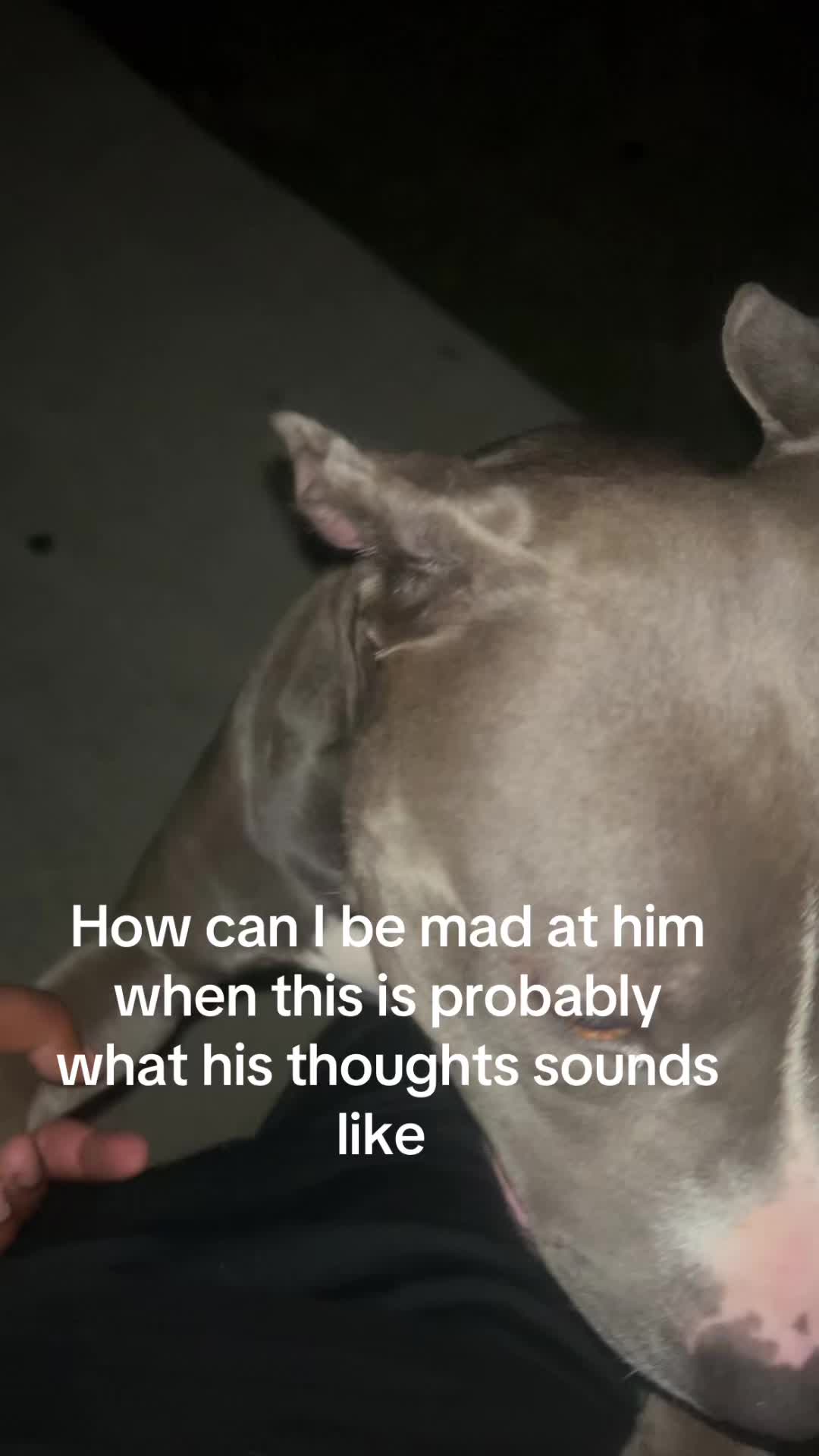 @sammysosafrm803