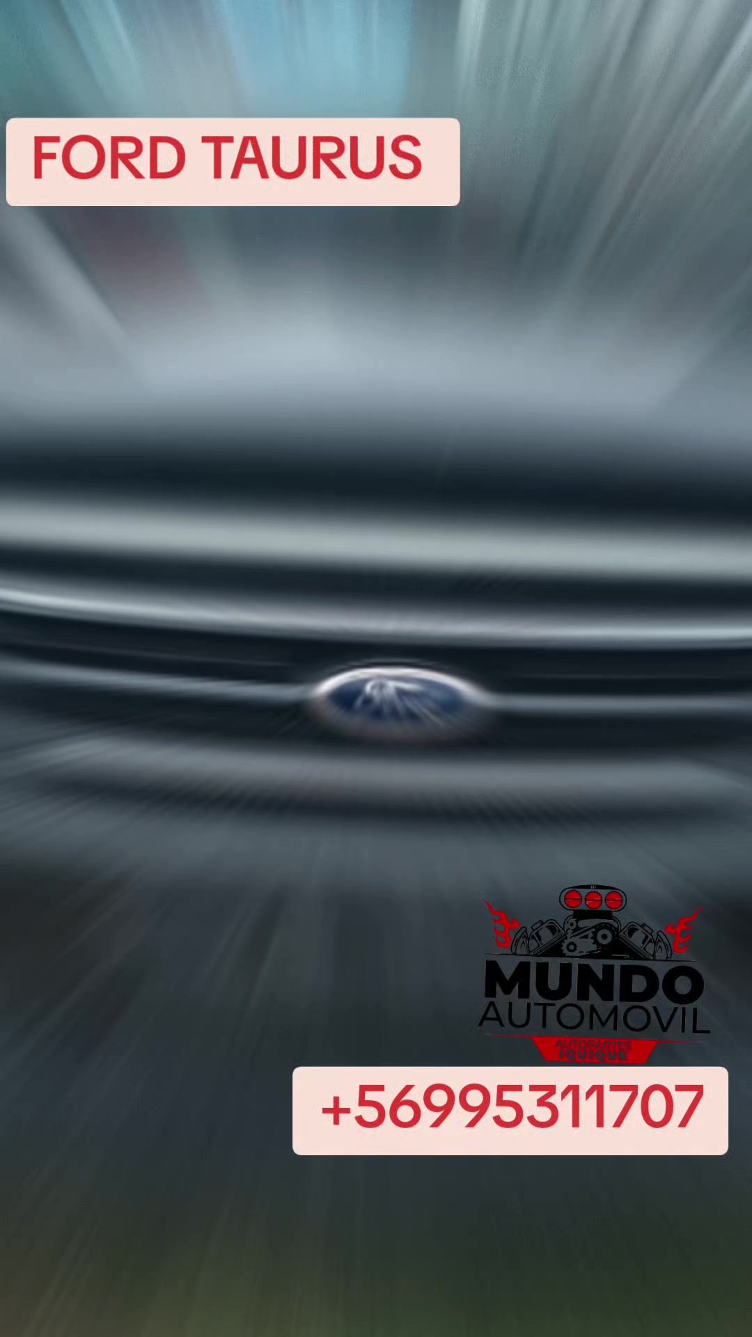 @EJECUTIVA DE VENTAS YOLEIDA