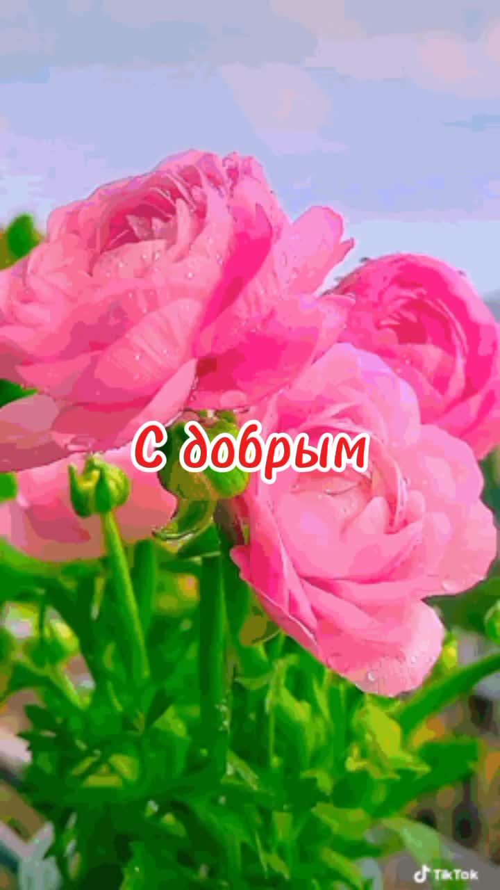 @_laura537