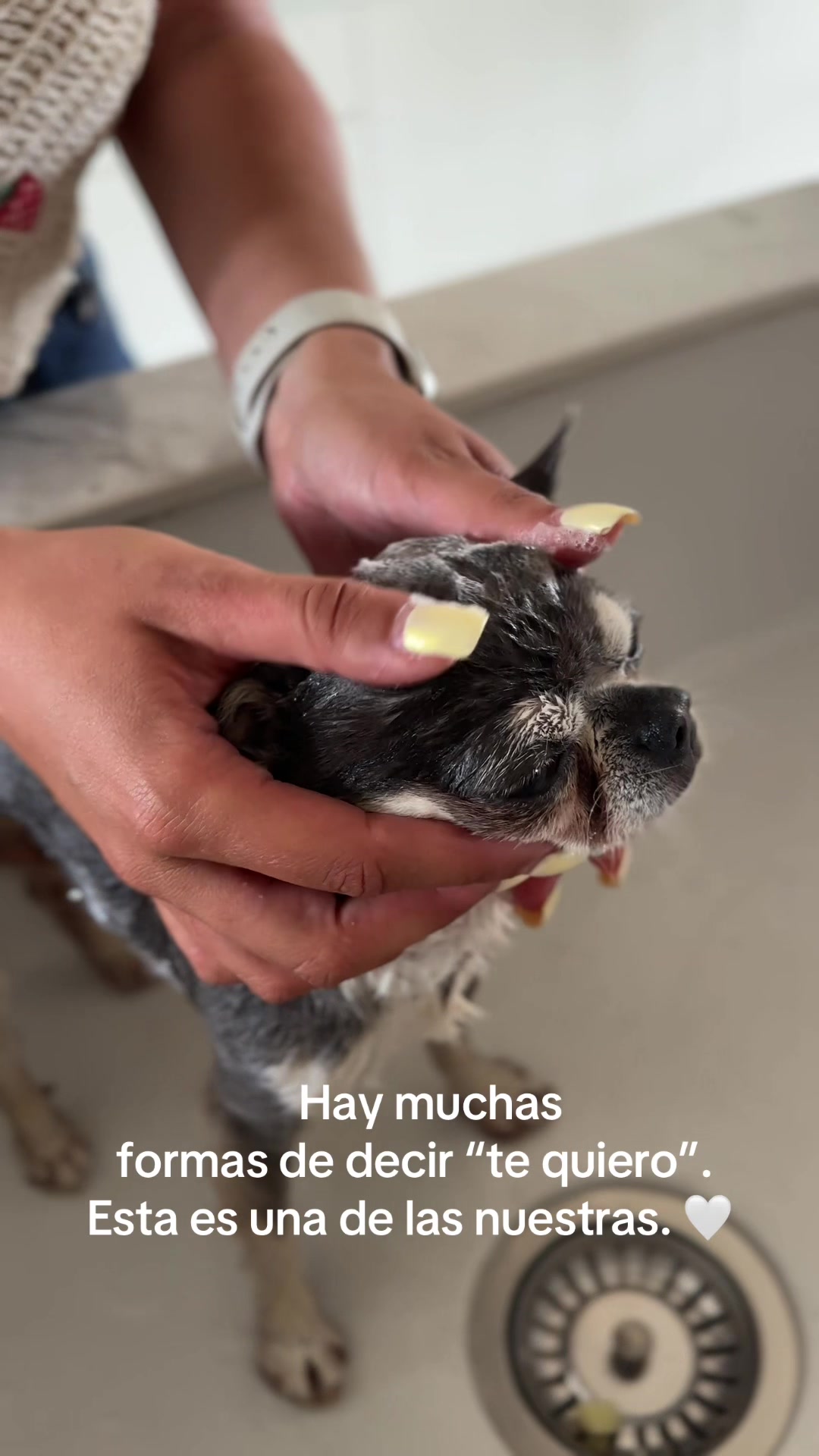 @Virgilass