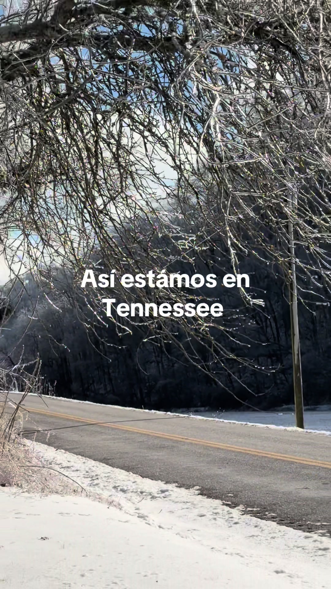 @La mandayer