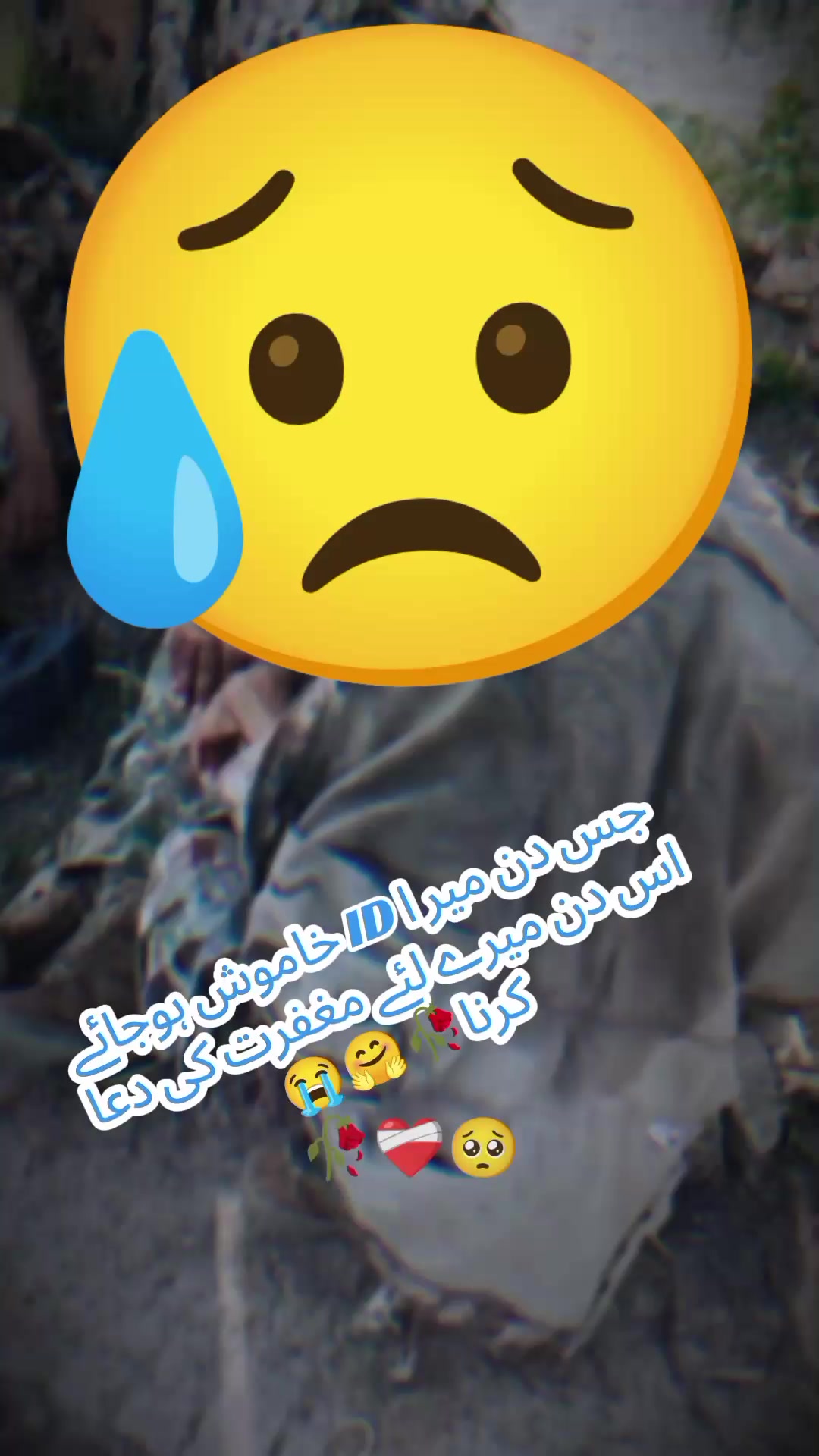 @🦍گوریلا🦅🦍