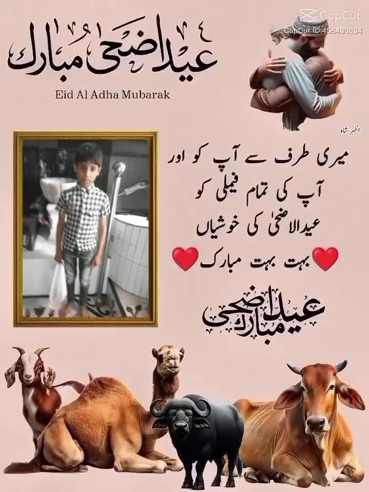 @Iqbal Jutt768