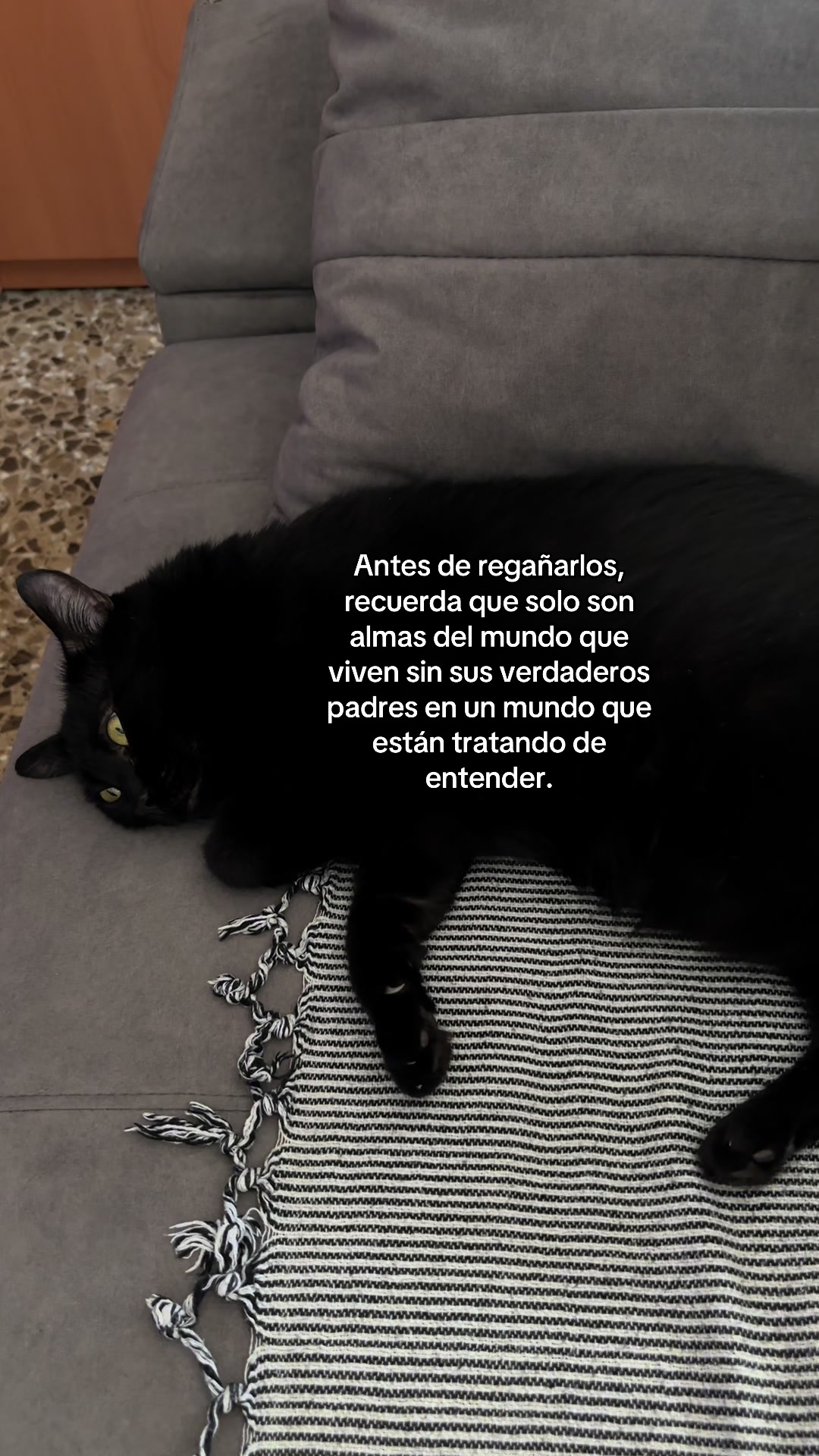 @BlackCatsMatter