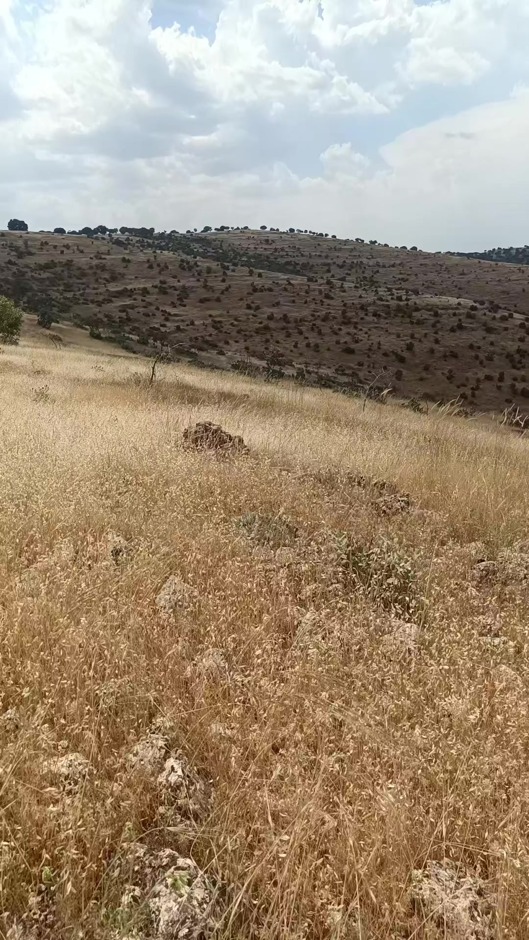 @Abdurrahim g&uuml;l