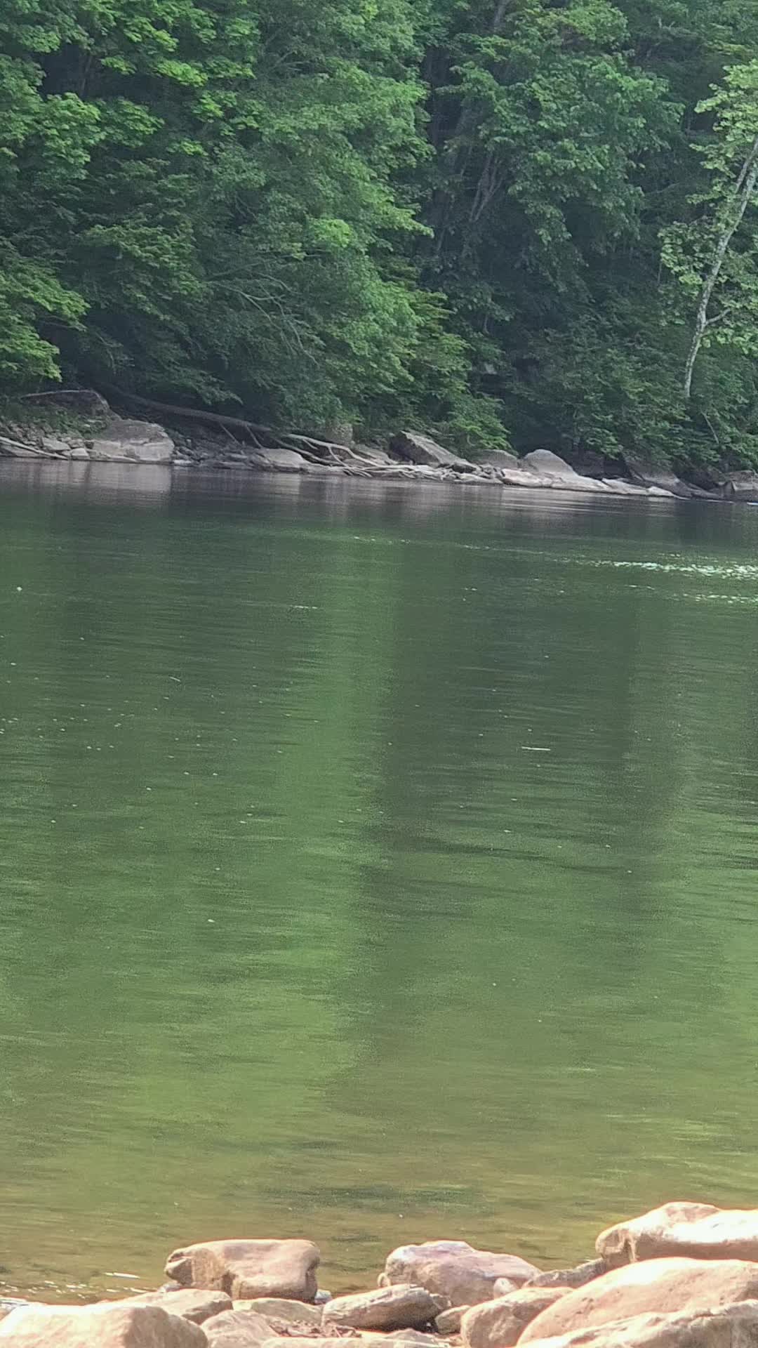 @jackekincaidwv