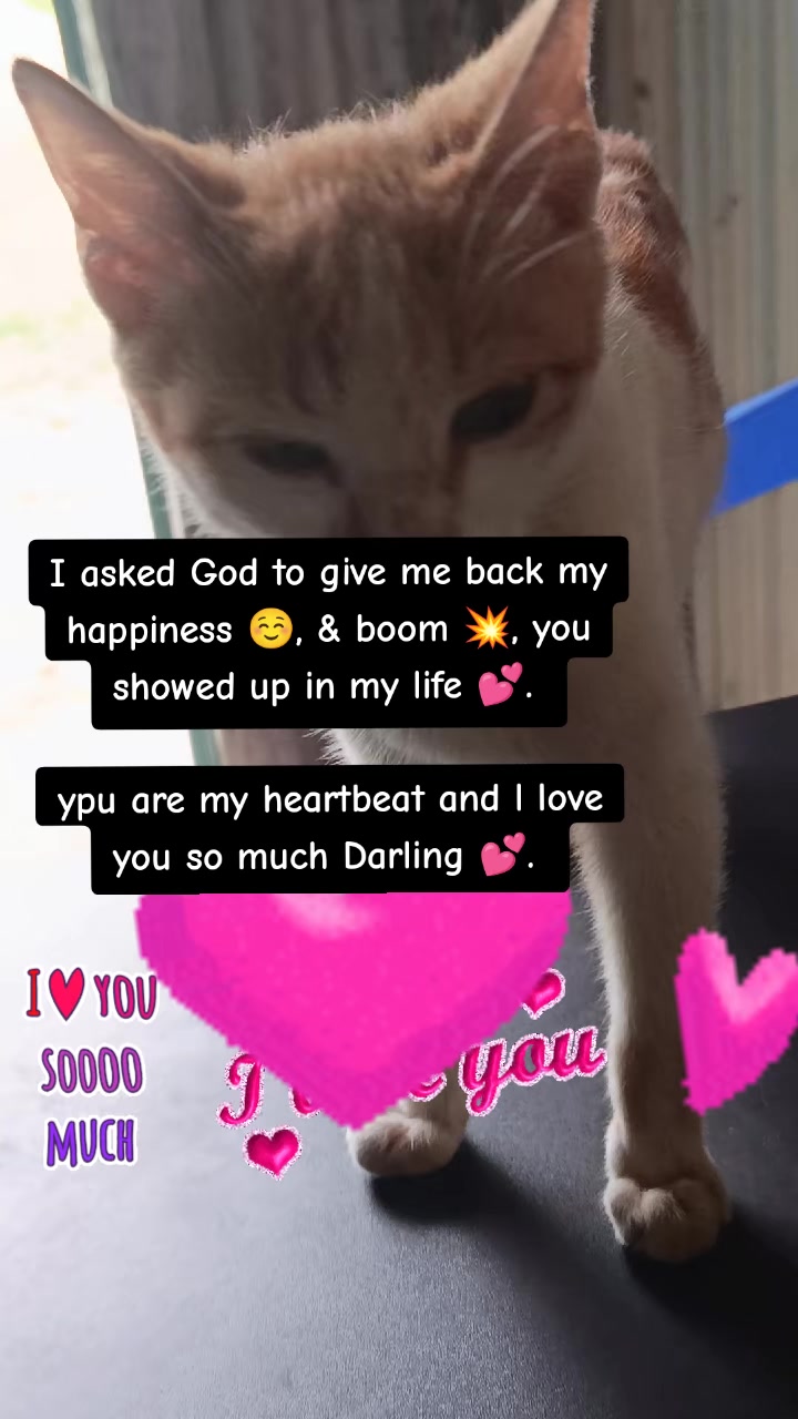 @A Heart That Loves 😘😍❤️