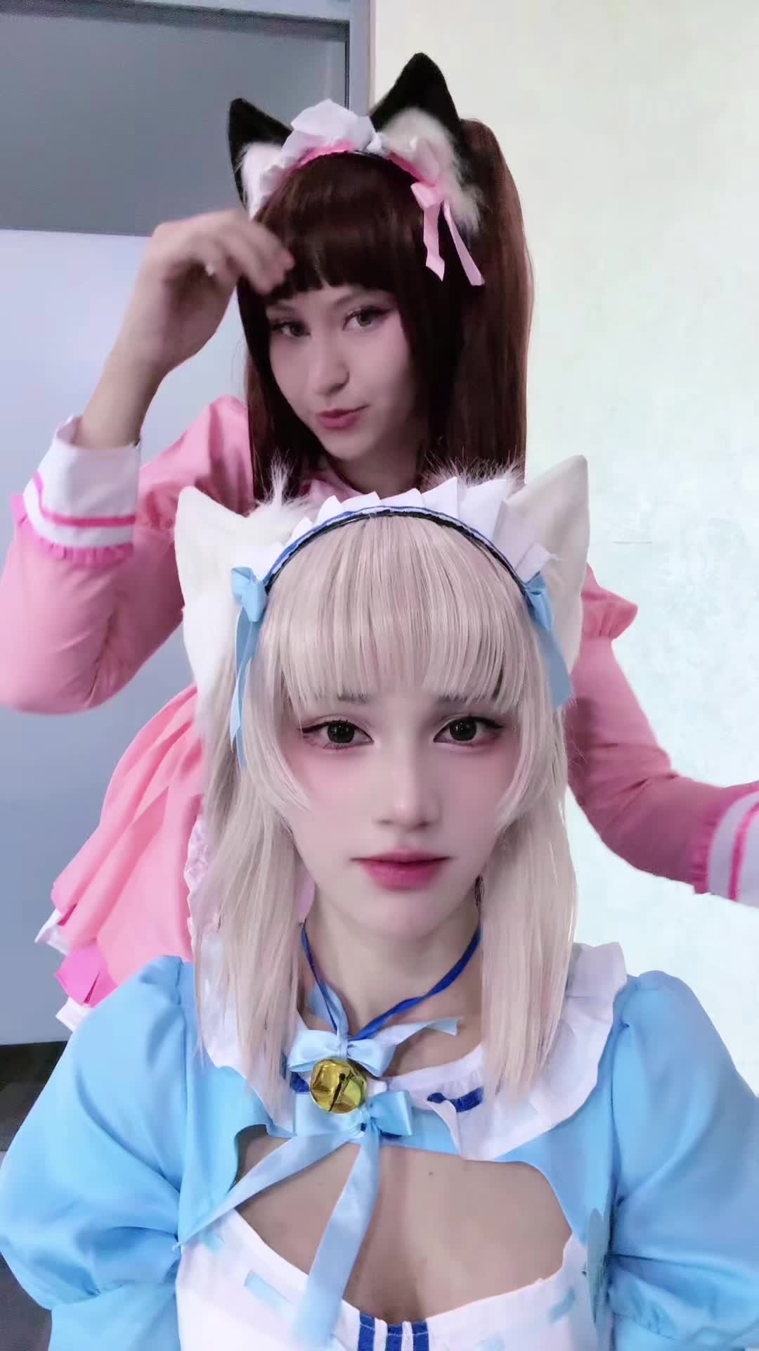 @tg: Tsushimaa who??
