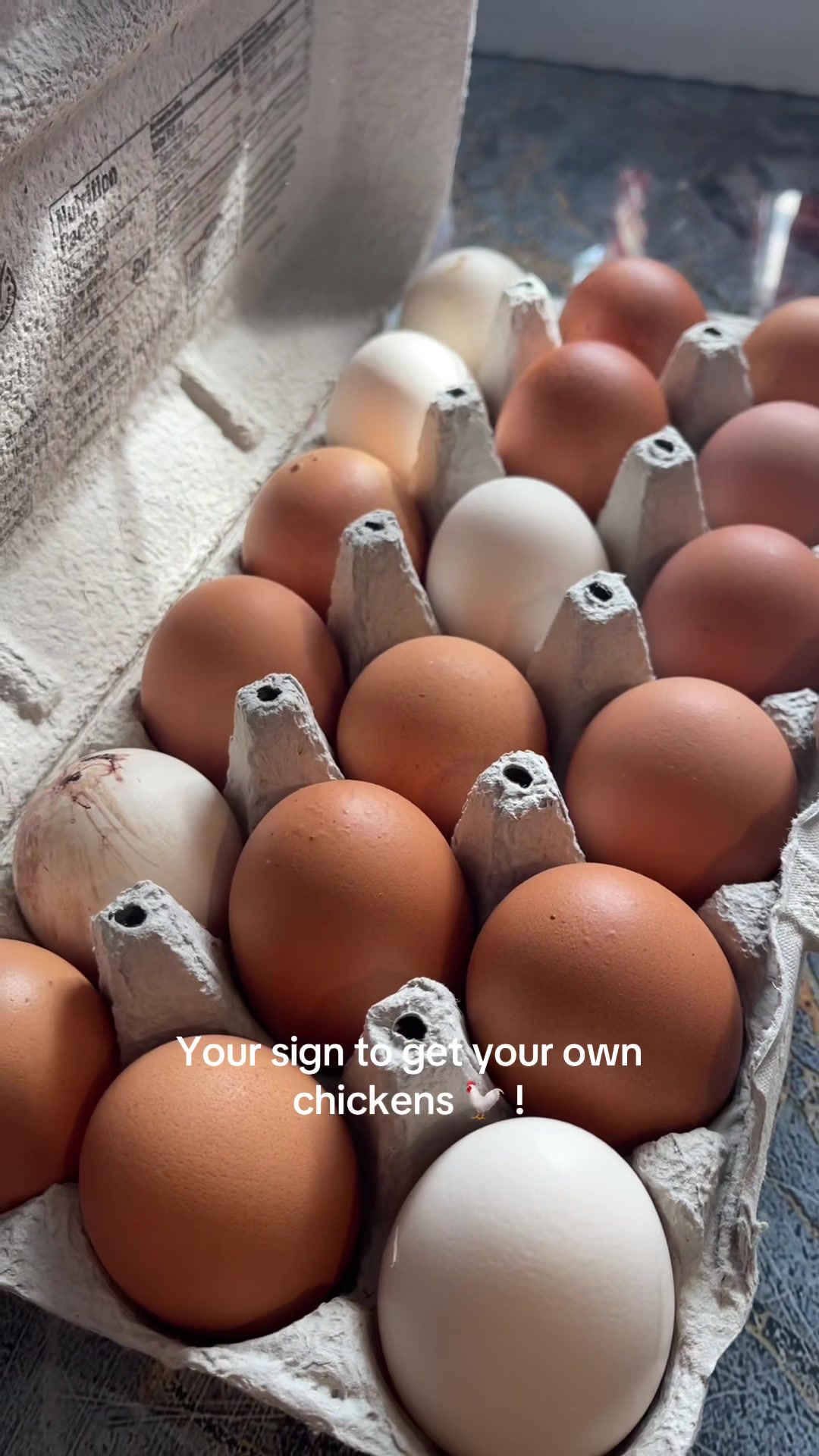 @𝔛
