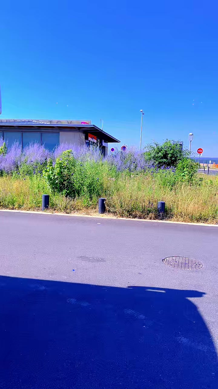 @bijousuissengoanmvogfouda🇨🇭