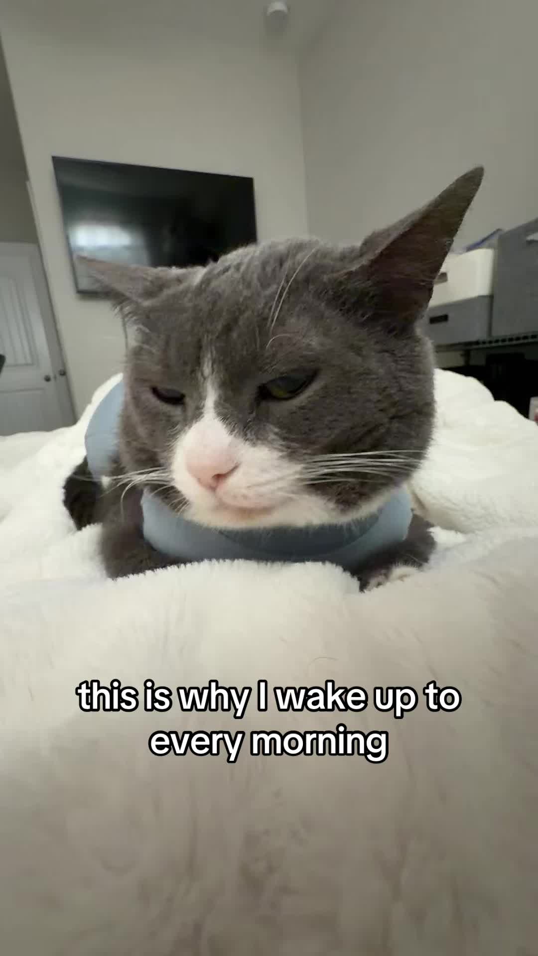@stinkwalker