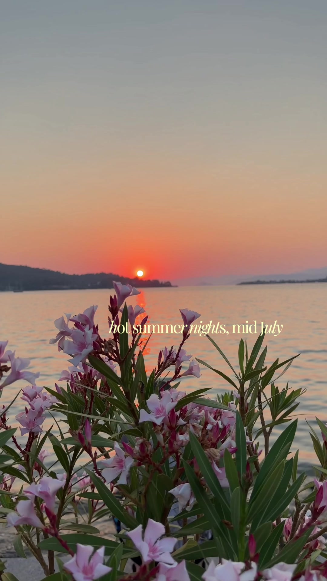 @marciauma_
