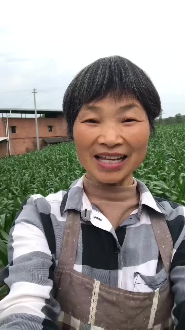 @grandma yan