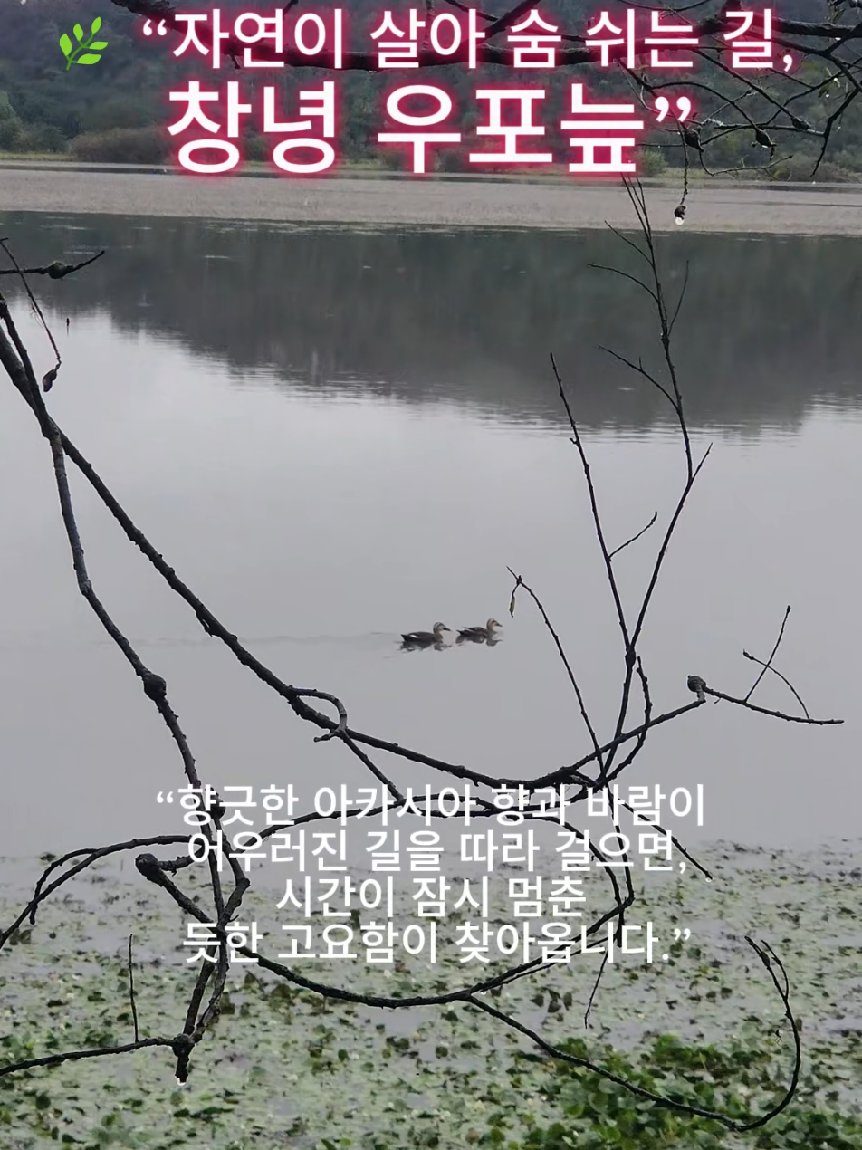 @로즈