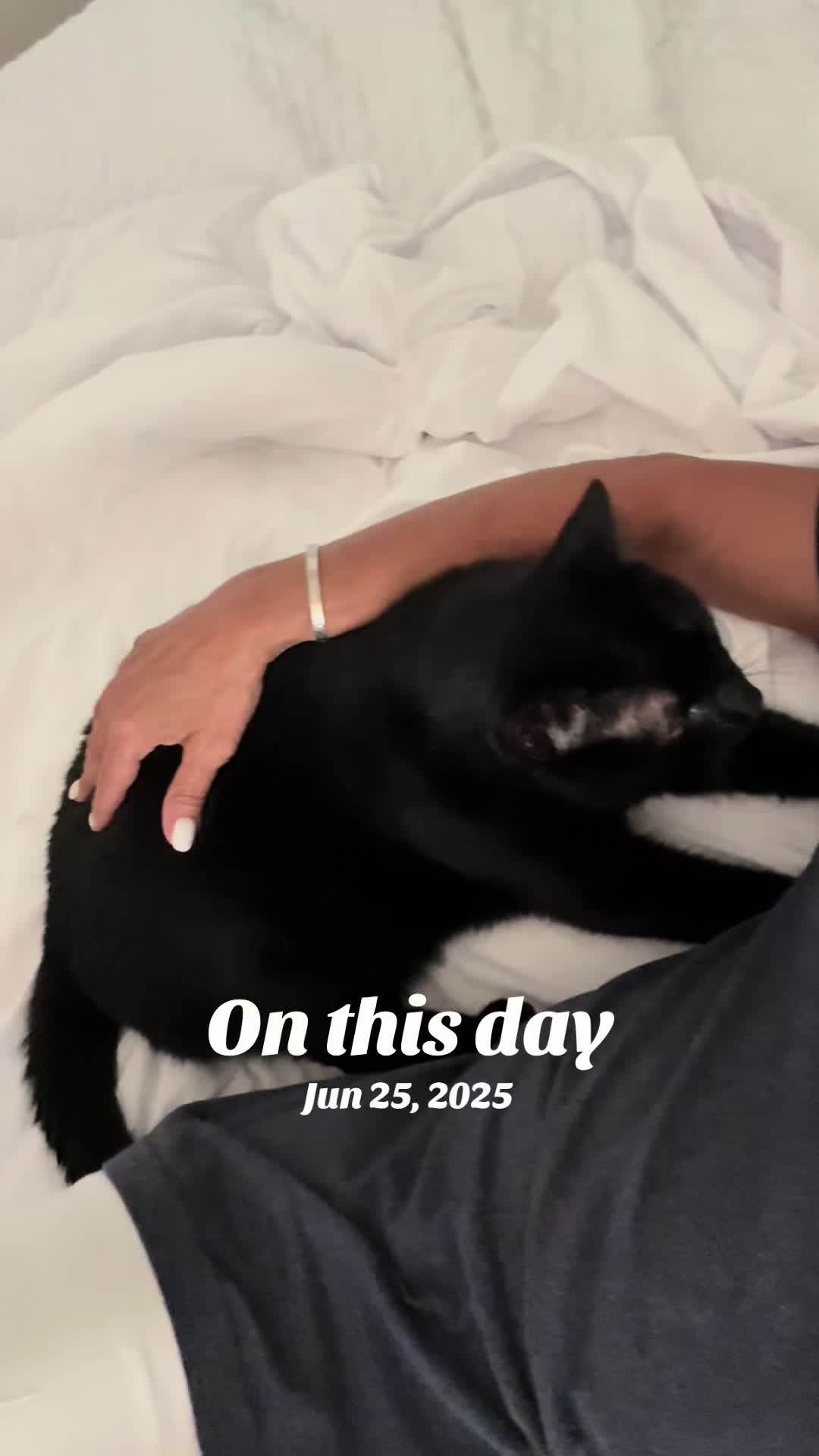 @Oscar Jeremy the cat!