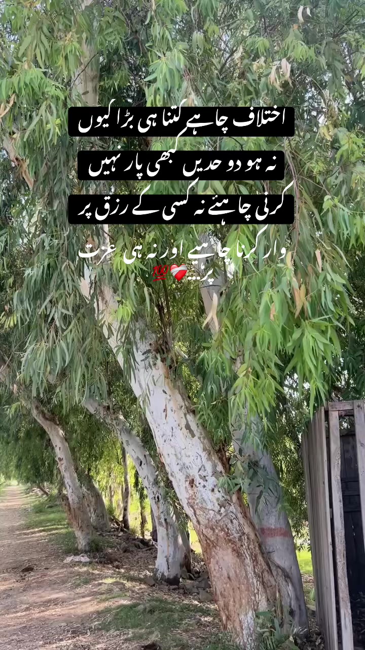 @محمد اویس ُتلہ🔥🥷