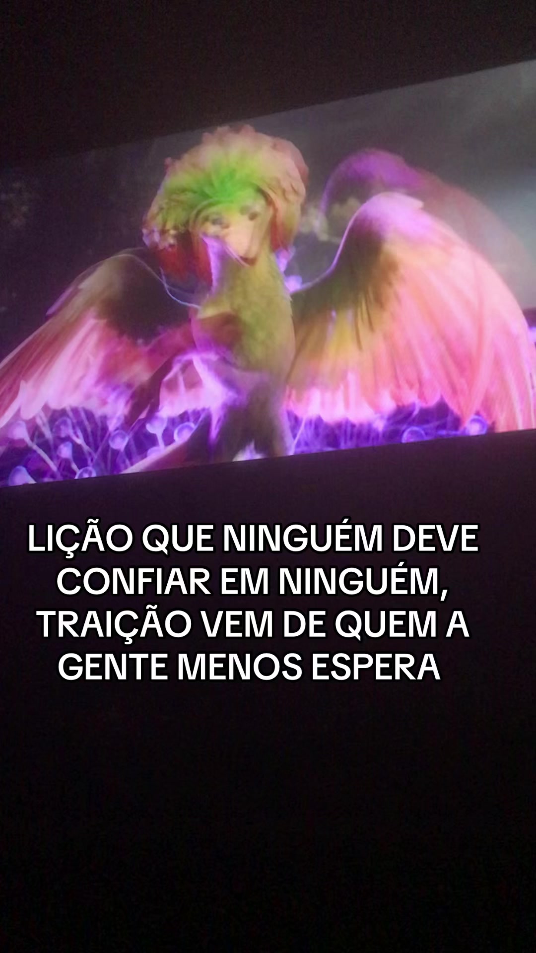 @dominiquedacostamendes