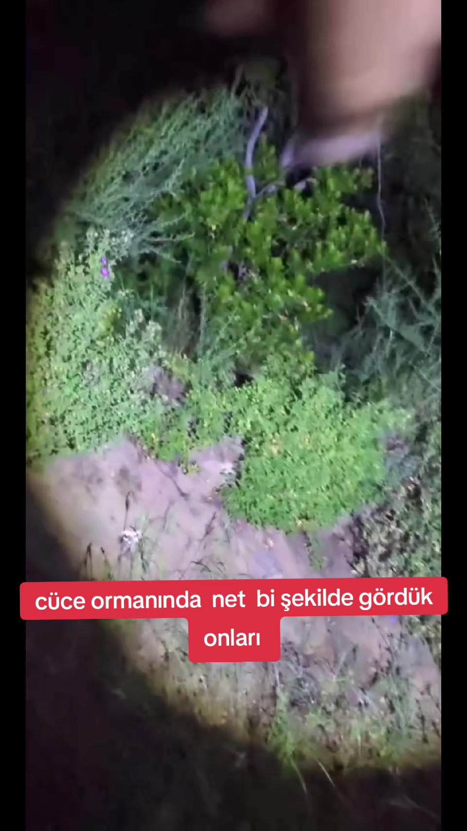 @PARANORMAL SİNAN