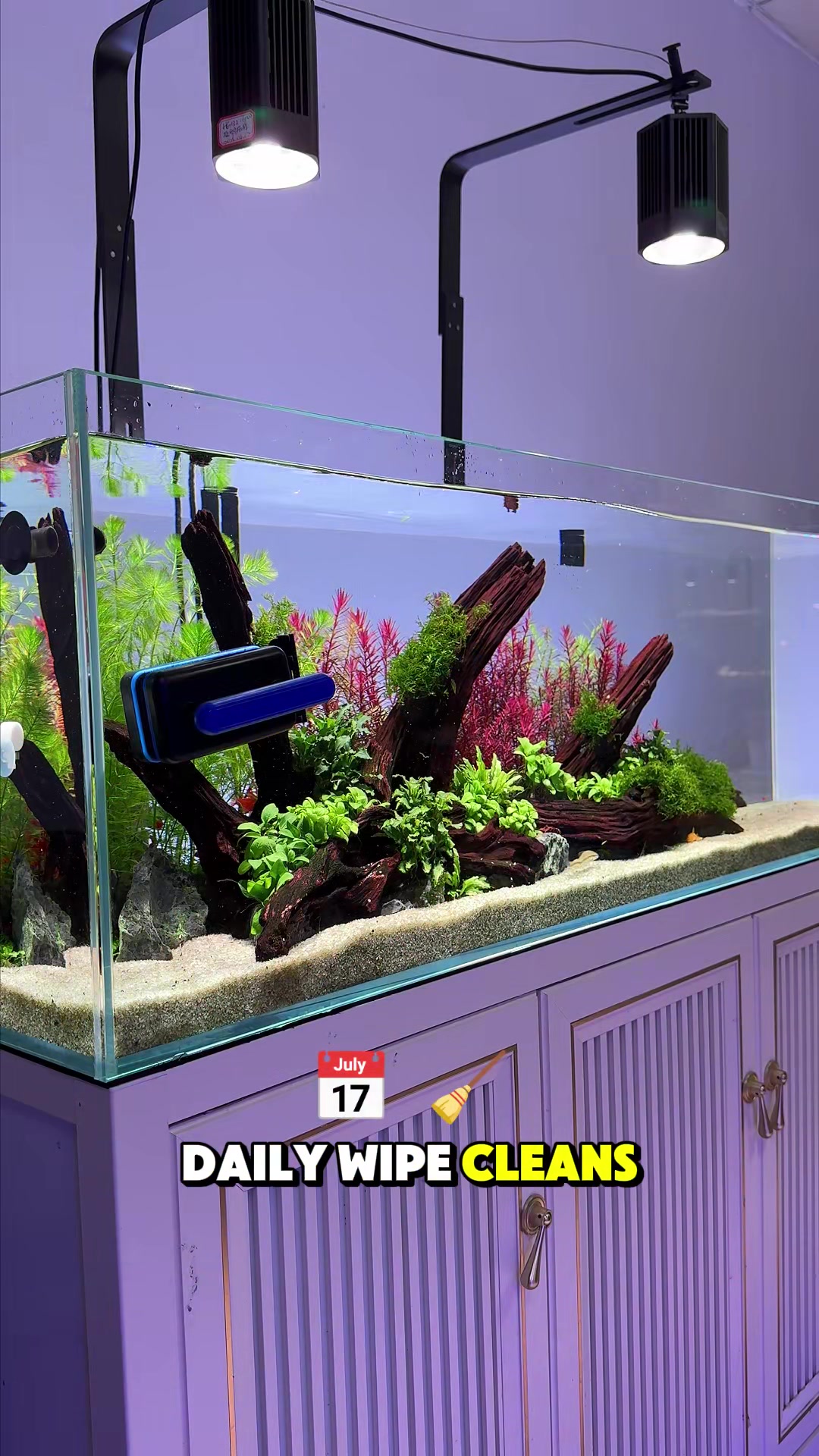 @AQQA Aquarium Store