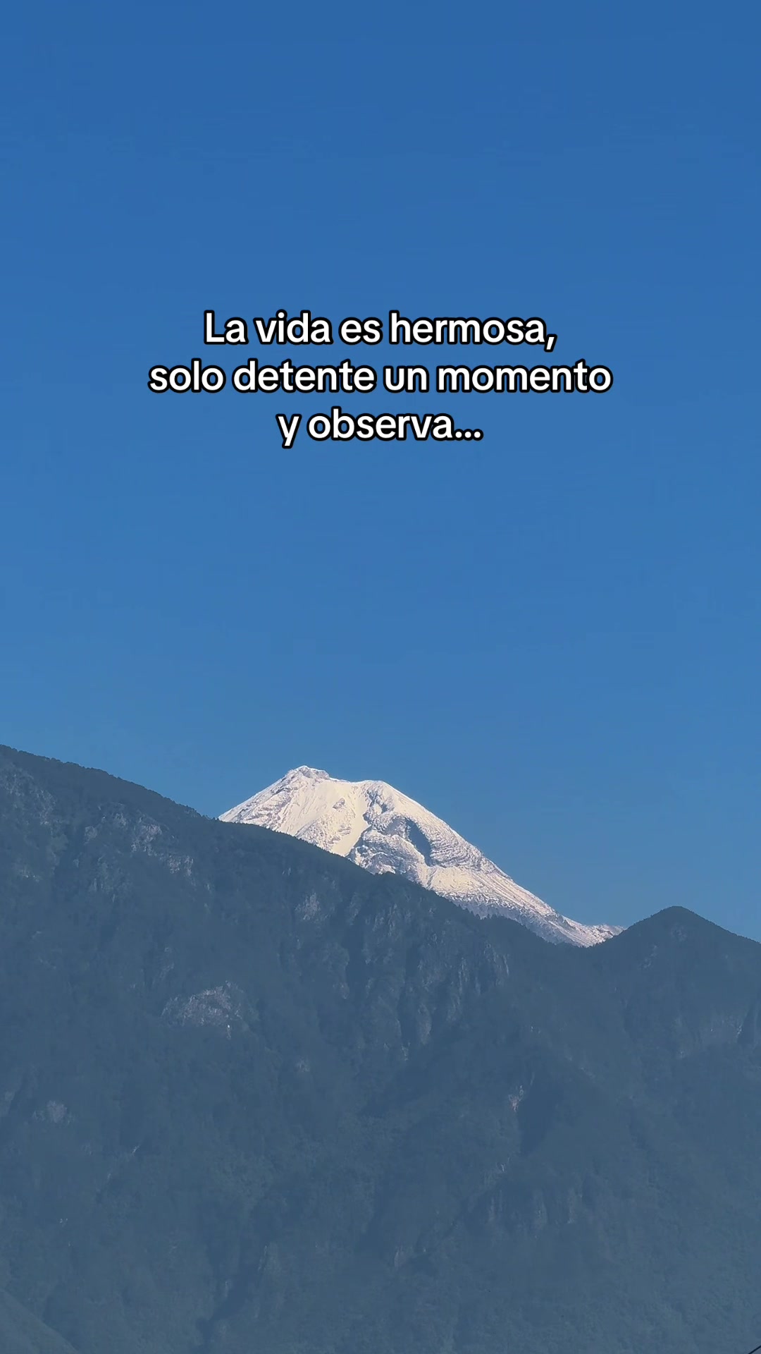 @José de Jesús Castañeda
