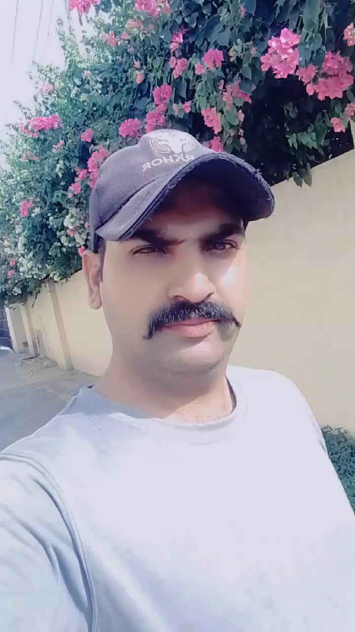 @Asif Asif bussines