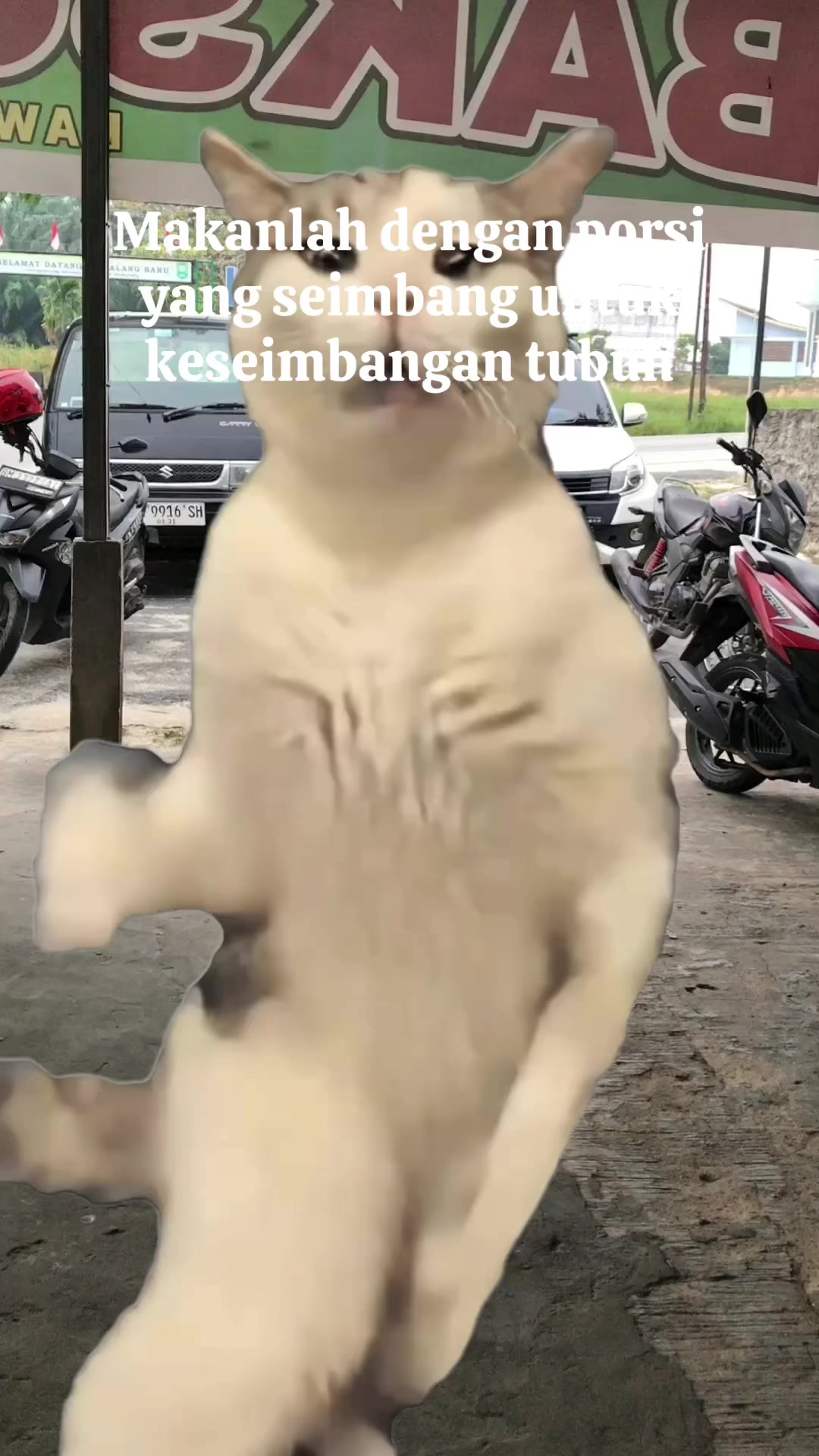 @∂αякиєѕѕ༆