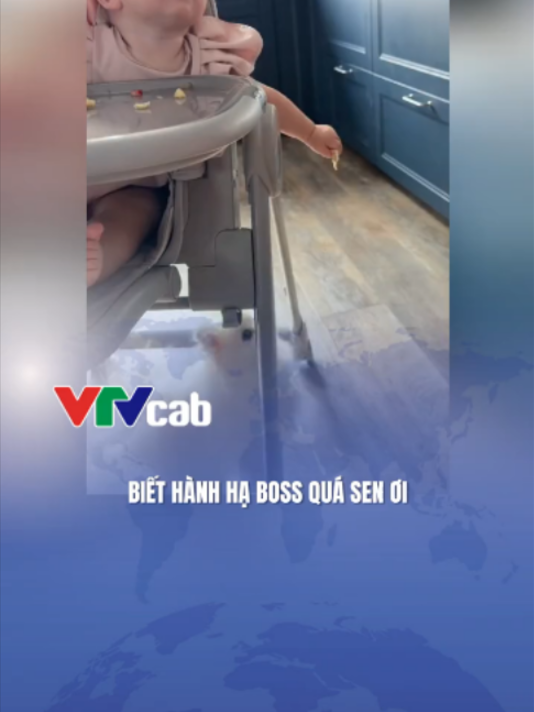 @VTVcab Trending - Giải trí