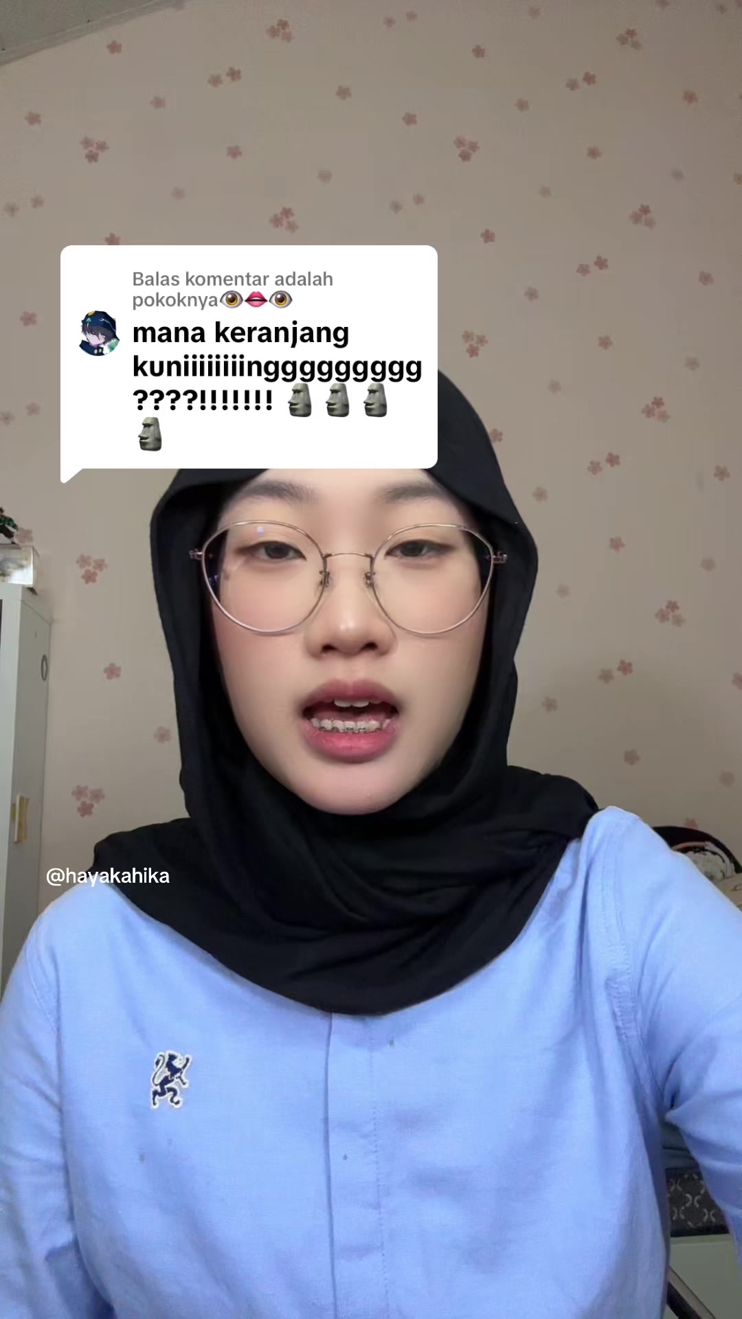 @hayakahika